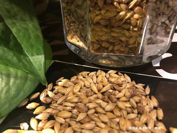 澳大利亞麥芽進(jìn)口報(bào)關(guān)資料