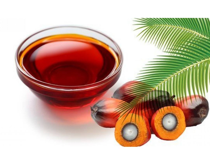 棕櫚油進口報關(guān)公司