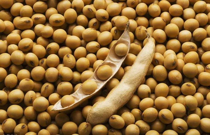 大豆進(jìn)口報(bào)關(guān)報(bào)檢流程