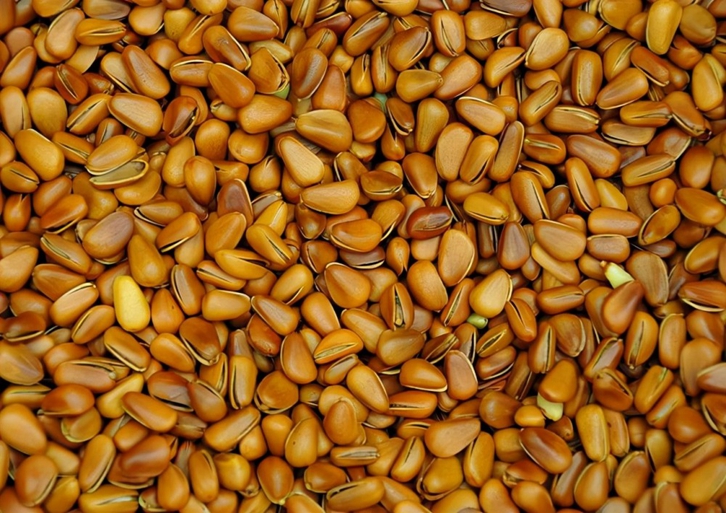 阿富汗松子進口清關(guān)