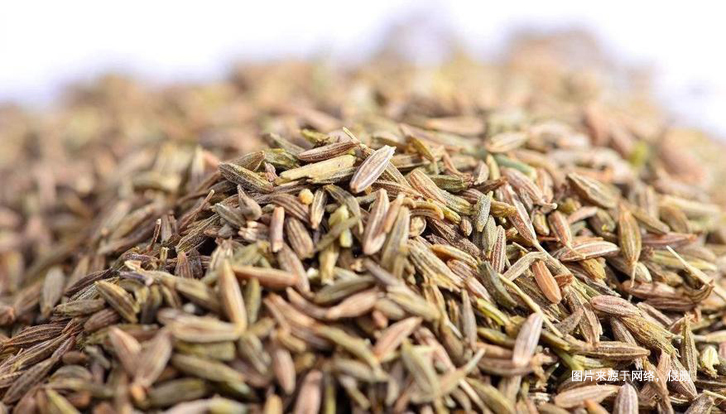 埃及枯茗子孜然進口報關(guān)資料