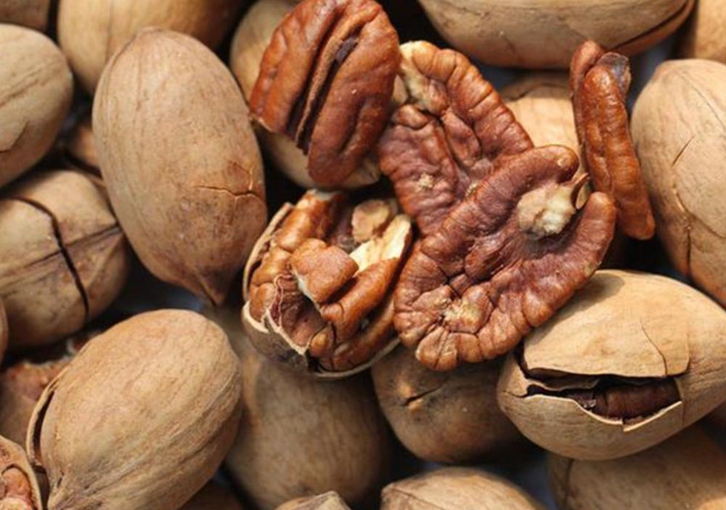 美國山核桃碧根果進口清關資料-廣州堅果報關行