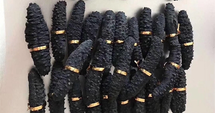 澳大利亞海參進(jìn)口報(bào)關(guān)資料