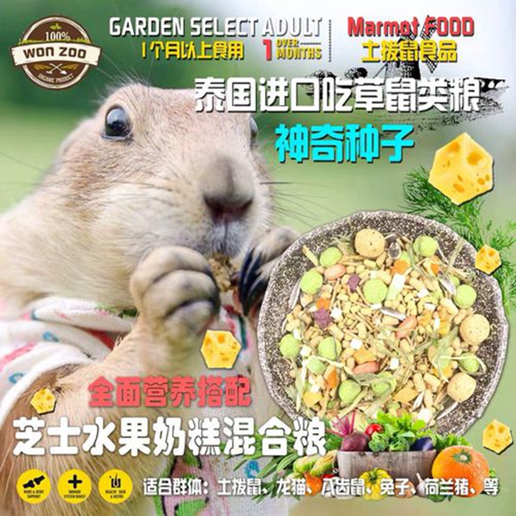 動物飼料進(jìn)口報關(guān)流程一站式門到門服務(wù)