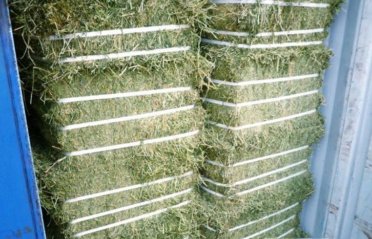 加拿大梯牧草進口報關流程_準入植物源性飼料種類