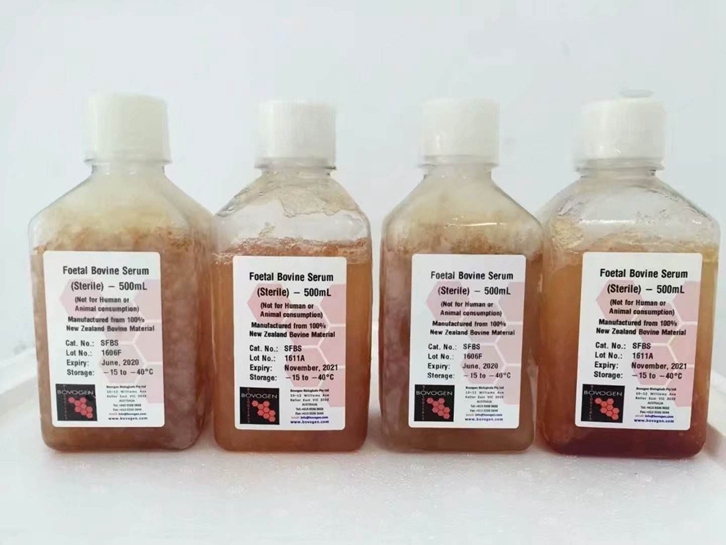 進口新西蘭牛血清成品報關資料