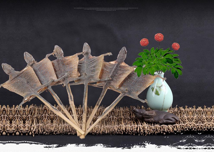 蛤蚧進(jìn)口報關(guān)代理_大壁虎進(jìn)口清關(guān)流程