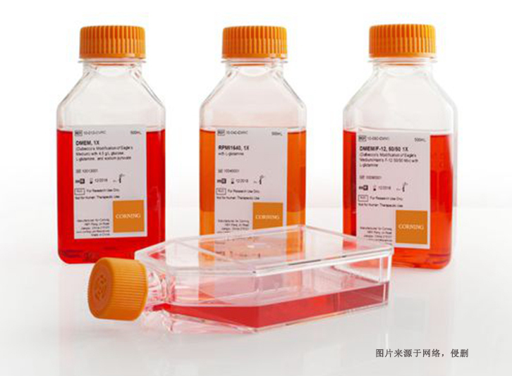 德國細(xì)胞培養(yǎng)試劑進(jìn)口報(bào)關(guān)資料