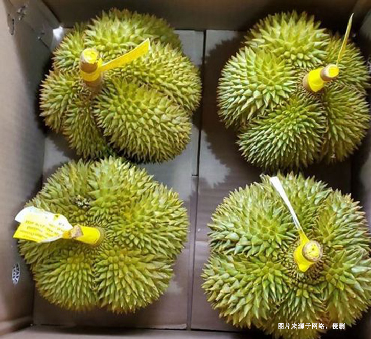 深圳機(jī)場進(jìn)口泰國榴蓮報關(guān)資料