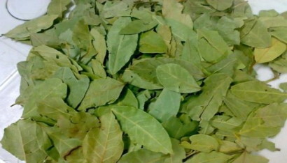 香葉進口報關(guān)注意事項有哪些？