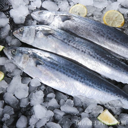 越南進(jìn)口冰鮮魚(yú)清關(guān)流程_胡志明港海運(yùn)報(bào)關(guān)費(fèi)用