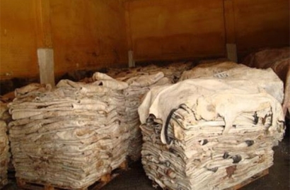 鹽濕皮進口清關的流程以及所需資料，請查收!