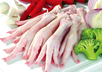 巴西進口雞爪報關怎么操作？進口清關流程