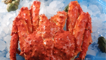 廣東進(jìn)口俄羅斯帝王蟹報(bào)關(guān)資料_進(jìn)口海鮮清關(guān)流程