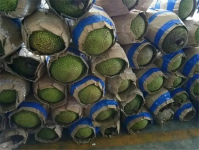 進口越南菠蘿蜜空運報關(guān)的流程_進口越南水果準(zhǔn)入