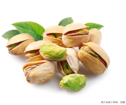 伊朗開心果，東莞食品進口報關公司