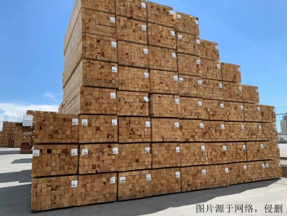 白俄羅斯進口報關(guān)公司哪家好？白俄羅斯木材清關(guān)流程