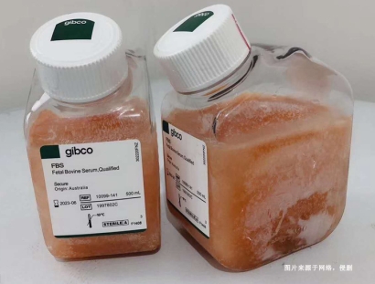 進口新西蘭牛血清蛋白報關(guān)資質(zhì)-19年生物制品報關(guān)行