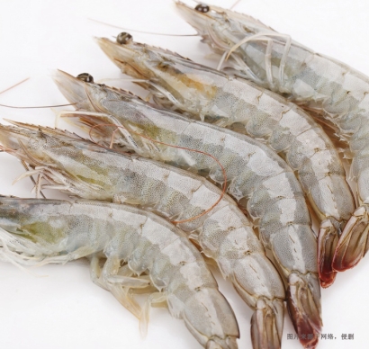 廣州進(jìn)口印尼冷凍蝦報(bào)關(guān)流程及費(fèi)用-水產(chǎn)品報(bào)關(guān)行