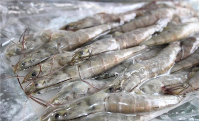 越南蝦進口報關流程技巧講解，get到了嗎