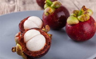 進(jìn)口山竹果清關(guān)需提供給報關(guān)代理公司的資料