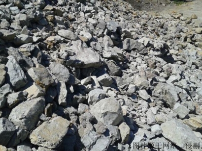 幾內亞鋁礦進口清關費用_天津鋁礦石報關注意事項