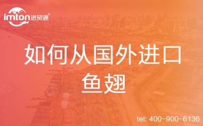 如何從國外進口魚翅