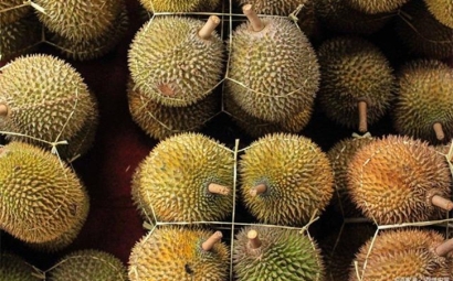 進(jìn)口泰國榴蓮報關(guān)提前準(zhǔn)備好這些資料，一點都不難