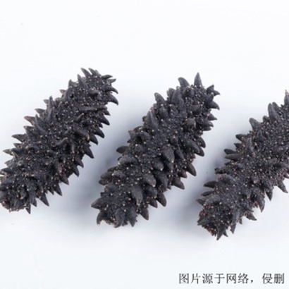 挪威進口海參清關怎么辦理_海參進口報關流程資料