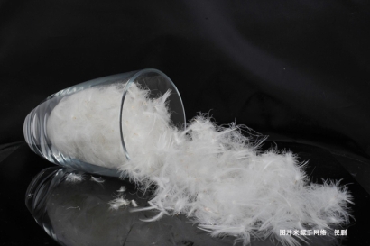 法國水洗羽絨羽毛進口報關資料_法國準入水洗羽毛企業(yè)