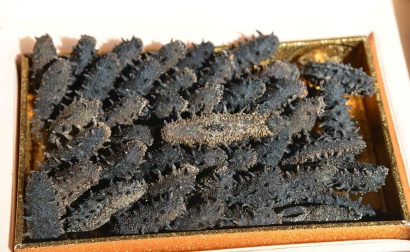 專(zhuān)業(yè)進(jìn)口干海參清關(guān)代理公司