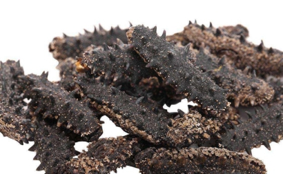 印尼干海參進(jìn)口報(bào)關(guān)流程_冷凍干海參進(jìn)口關(guān)稅多少