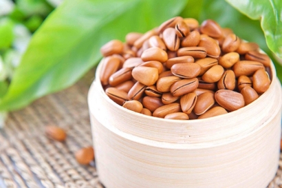 寧波進(jìn)口松子清關(guān)公司有哪些_松子清關(guān)