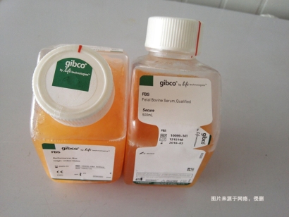 澳大利亞牛血清進(jìn)口報關(guān)資料_青年牛血清生物制品