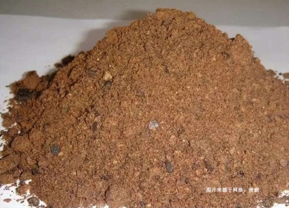 泰國棕櫚仁粕進(jìn)口報關(guān)資料_棕櫚仁粕飼料準(zhǔn)入國家