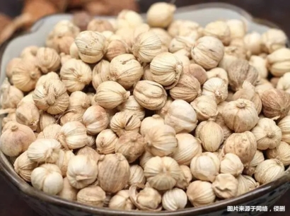 進口老撾豆蔻報關(guān)流程_進口藥材豆蔻基本流程手續(xù)