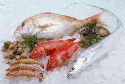 廣州冷凍品進口報關公司哪家好？廣州報關行排名