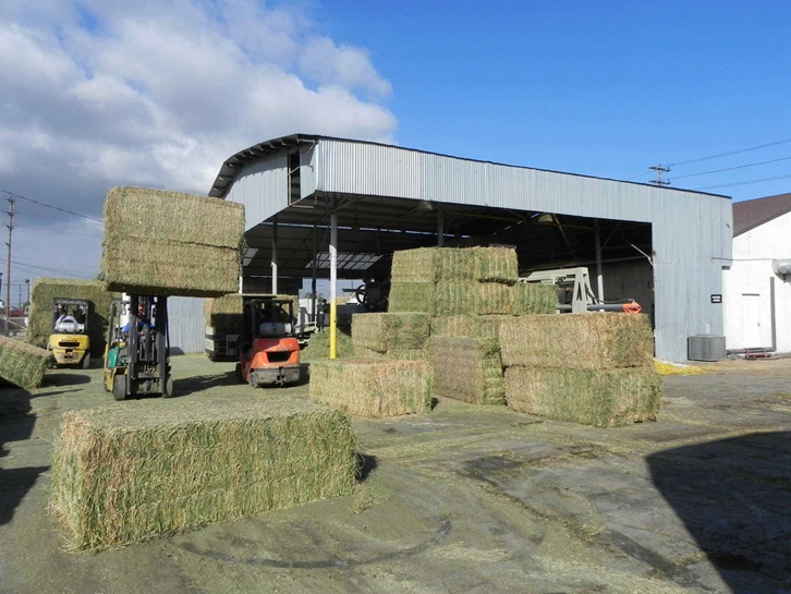 天津苜蓿草進(jìn)口報(bào)關(guān)公司