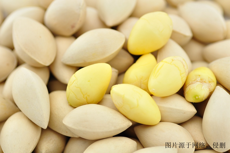 白果進口怎么清關流程？天津堅果進口代理報關公司