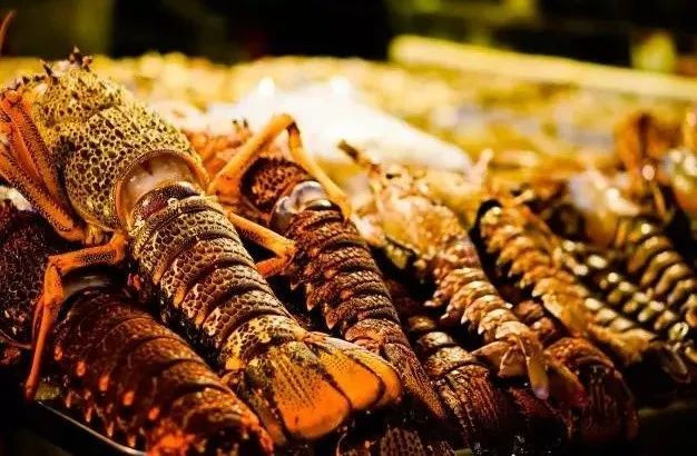 加拿大進口波士頓龍蝦報關(guān)