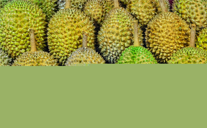 馬來西亞榴蓮進(jìn)口報關(guān)