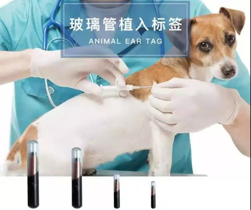 寵物進(jìn)口報關(guān)