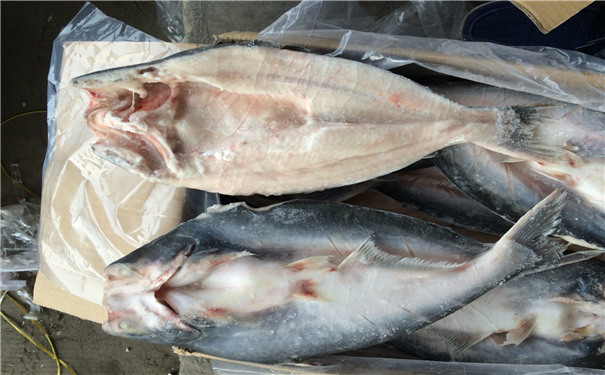 空運海鮮進口報關一般貿易進口需要注意這些，來看看? 