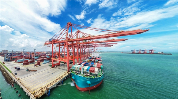 1642762764590489.jpg 湛江港口進口清關_副本.jpg